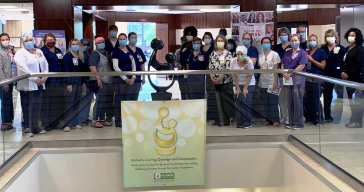 The St. Mary's Hospital Nurses check out their new DAISY Sculpture