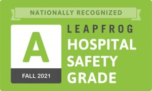 Leapfrog logo