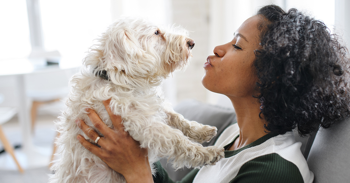 can humans catch pneumonia from a dog